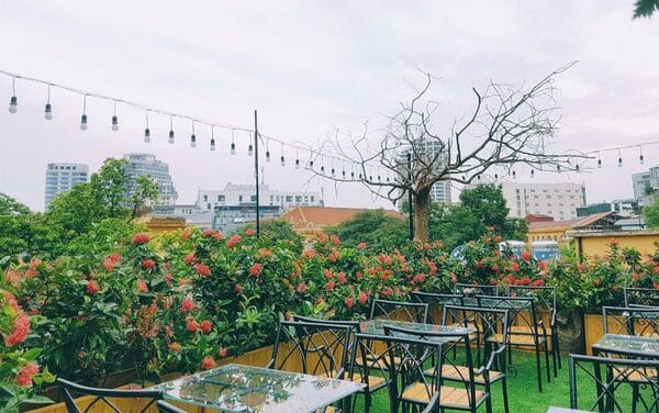 quan-cafe-yen-tinh-ha-noi-cuc-chill-lam-viec-hoc-tap