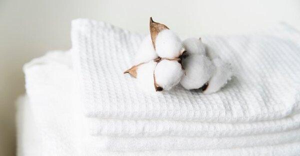 Sợi Supima cotton có độ bền cao