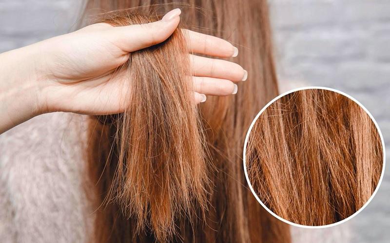 Cách gội đầu không dùng dầu gội có phù hợp với tất cả mọi người không?