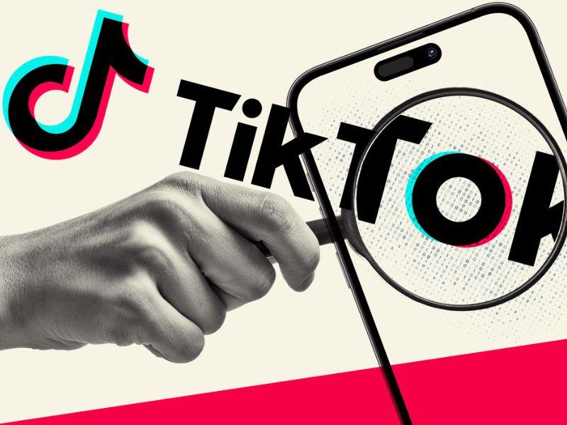 TikTok: Tiếng vang và những góc khuất ít ai biết