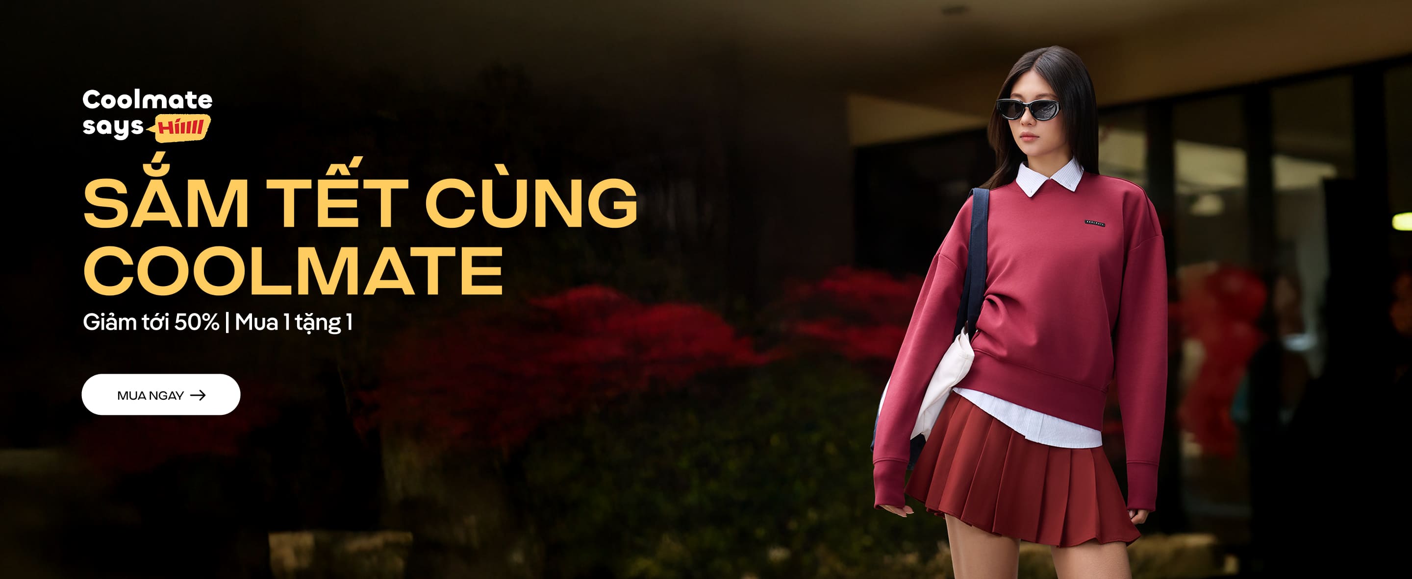 Promotional banner 1 - desktop view