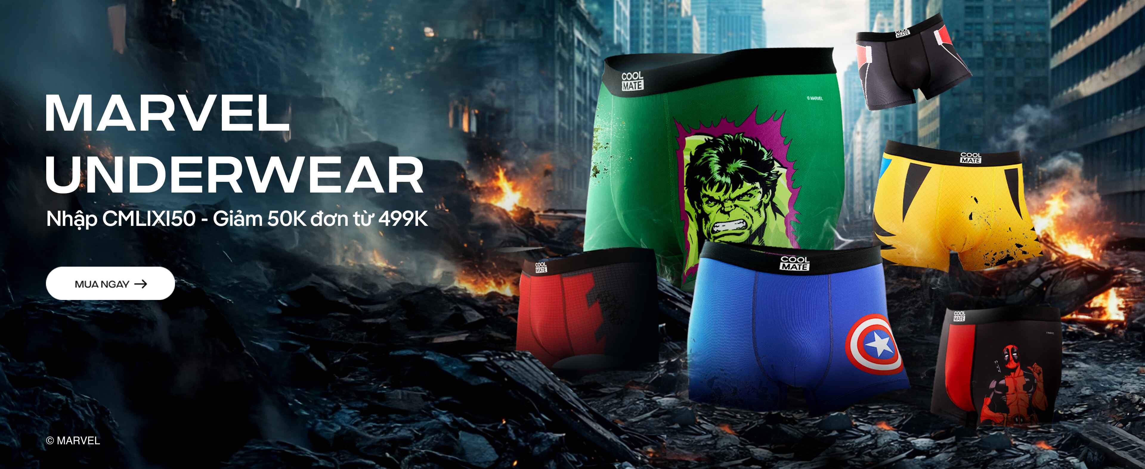 Promotional banner 3 - desktop view