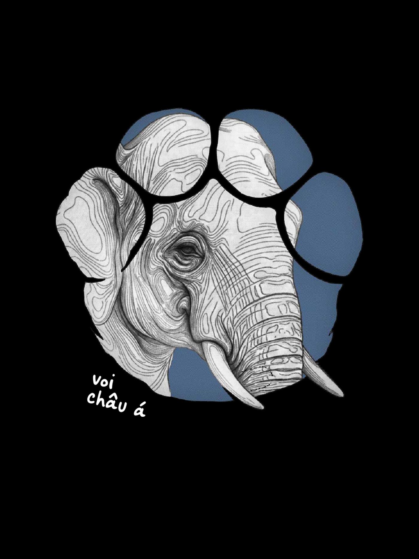 Áo Jungle Voi Châu Á - undefined