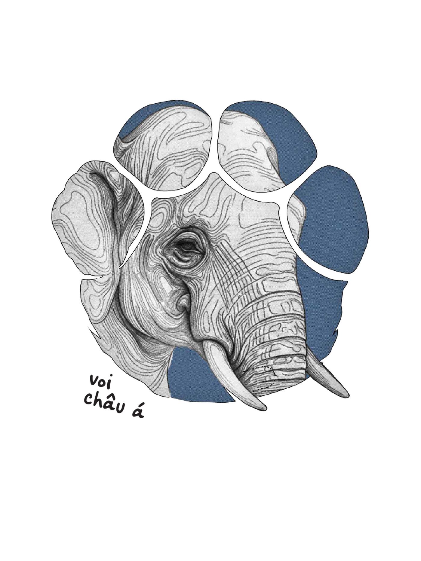 Áo Jungle Voi Châu Á Cotton 220gsm - undefined