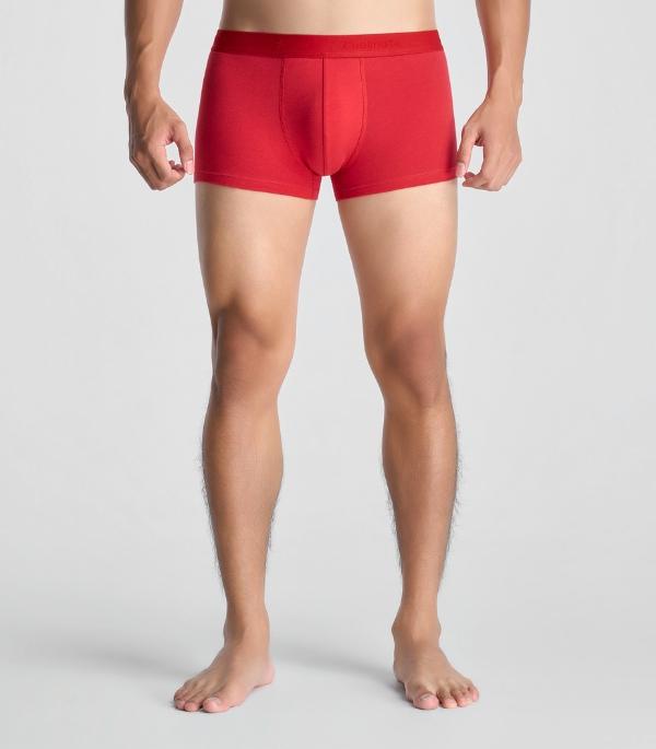 Phom Trunk Hiện Đại