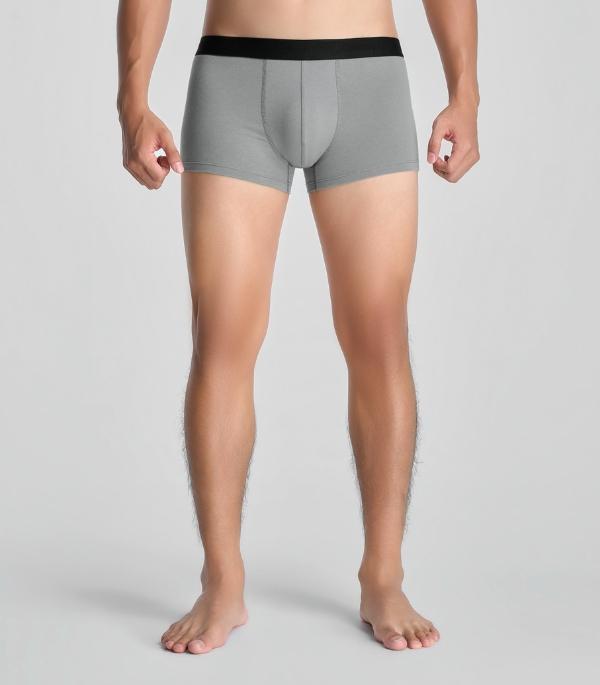 Phom Trunk Hiện Đại