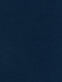 color Xanh Navy