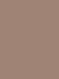 color Nâu Iron