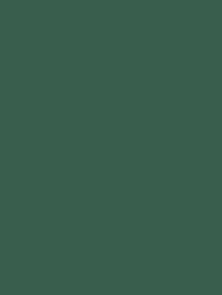 color Xanh Hunter