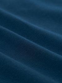 color Xanh Titan