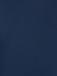 color Xanh Navy