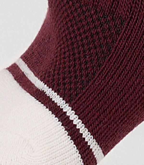 Thoáng khí và thấm hút