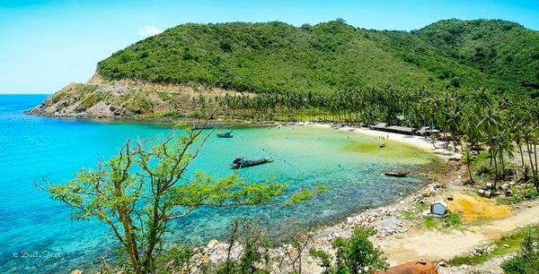 Bãi Cây Mến trên Hòn Lớn với những hàng dừa xanh mướt