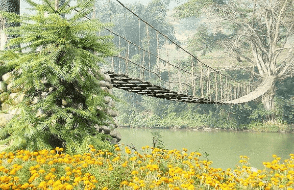 Cầu Mây Tả Van phảng phất đâu đó một nét đẹp “cổ trang”