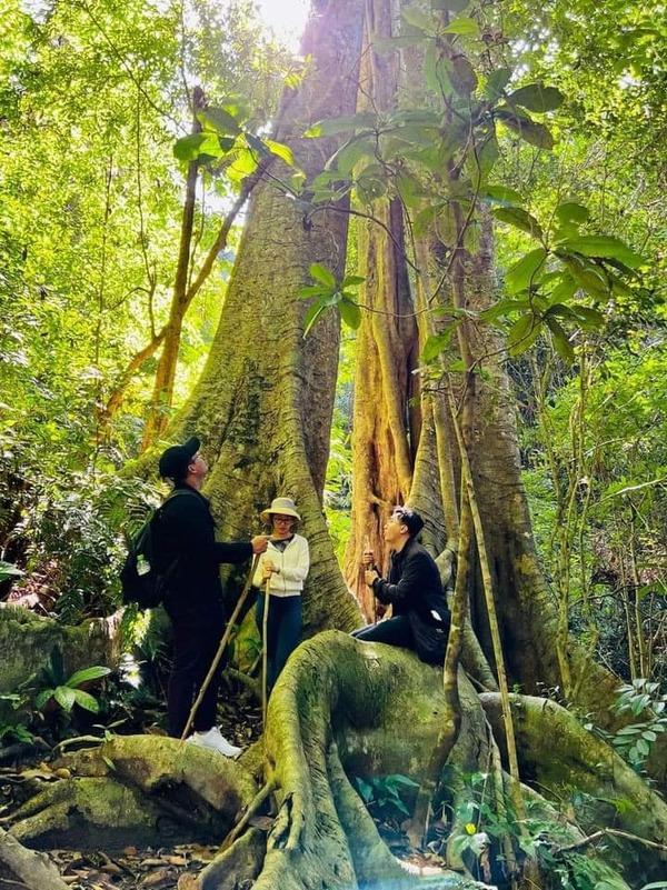 Địa điểm trekking Cát Bà, kinh nghiệm trekking an toàn cho người mới