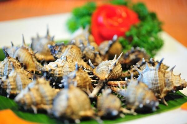 Ốc gai xương rồng khá hiếm, nên nếu gặp, nhất định đừng bỏ lỡ cơ hội thưởng thức