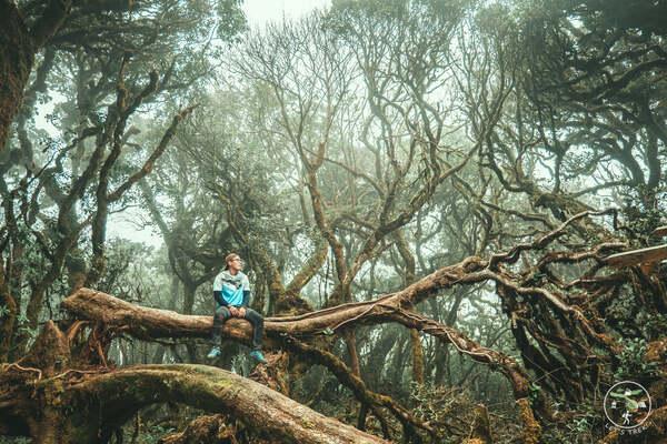 Những kỹ năng cần nắm khi đi trekking trong rừng (Ảnh: Khanh Tuan)