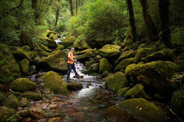 Dùng gậy trek do mực nước khi di chuyển qua suối (Ảnh: Nguyễn Việt Hùng)