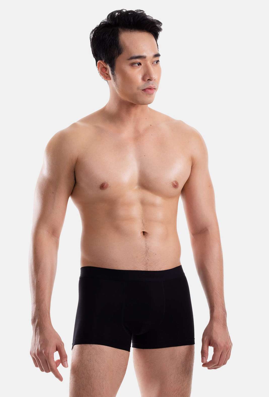 Product Image /image/April2023/trunkmo46.jpg