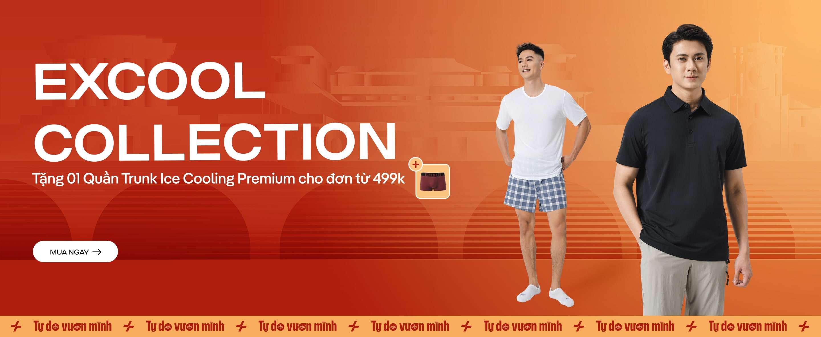 Promotional banner 2 - desktop view