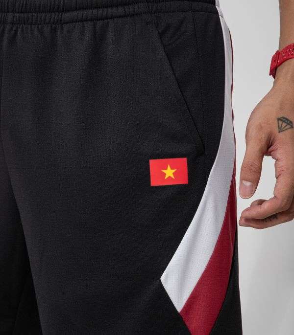 Tự hào Việt Nam