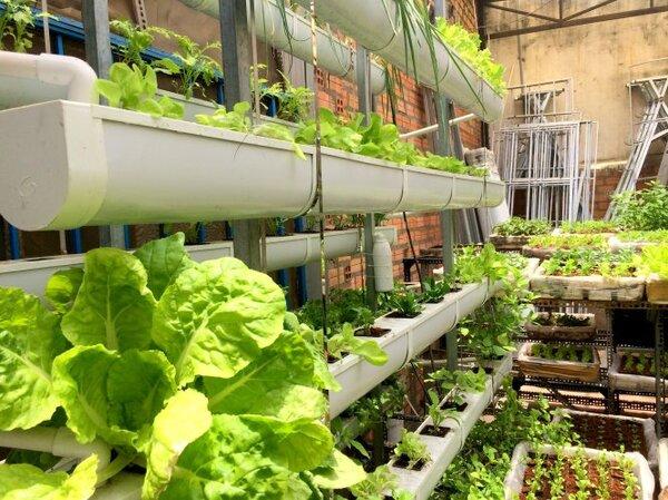 Ăn gì để tiết kiệm tiền: Thực đơn món ăn lành mạnh với chi phí thấp