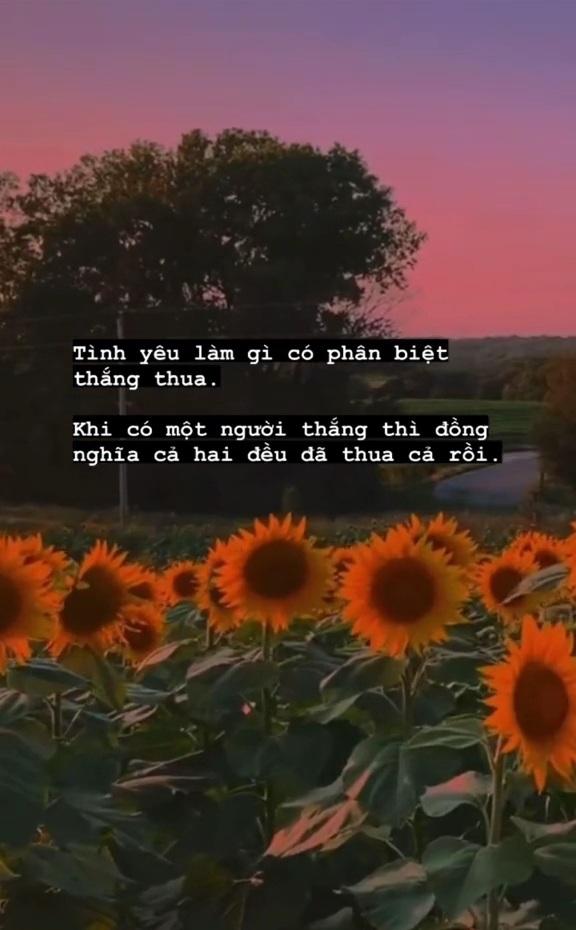 Cách làm video Tiktok bằng chữ chi tiết, đơn giản và nhanh