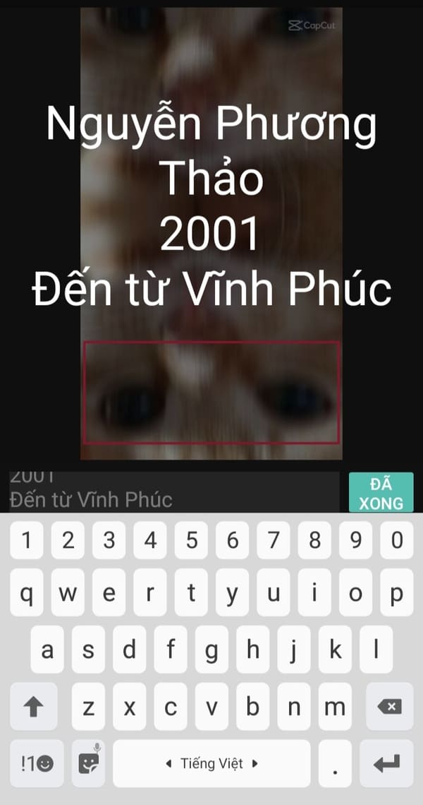 Cách làm video tiktok giới thiệu bản thân bắt trend cực hot