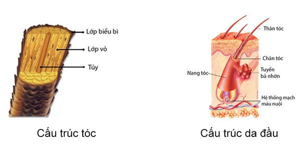 6 sai lầm cần biết khi chăm sóc tóc của nam giới