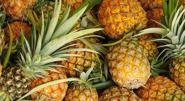 Dứa Tam Dương ngọt tự nhiên ai ăn cũng thích