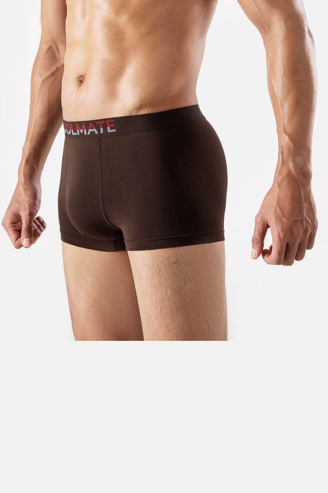 Product Image /image/December2023/trunkcafelot-cao-2_40.jpg