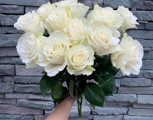 8/3 tặng hoa gì cho bạn gái - Ý nghĩa siêu lãng mạn của từng loại hoa