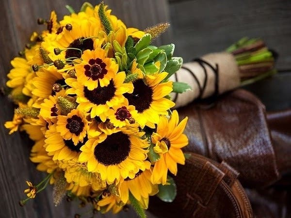 8/3 tặng hoa gì cho bạn gái - Ý nghĩa siêu lãng mạn của từng loại hoa