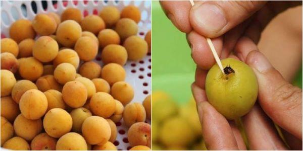 Top 10 loại trái cây ngâm rượu tốt cho sức khoẻ vừa ngon vừa dễ làm