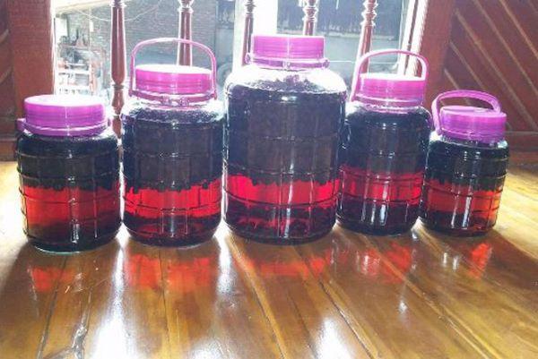 Top 10 loại trái cây ngâm rượu tốt cho sức khoẻ vừa ngon vừa dễ làm