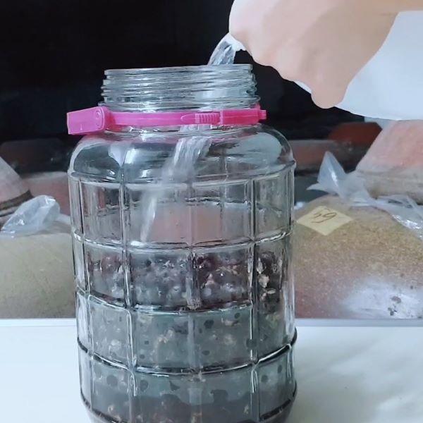 Top 10 loại trái cây ngâm rượu tốt cho sức khoẻ vừa ngon vừa dễ làm