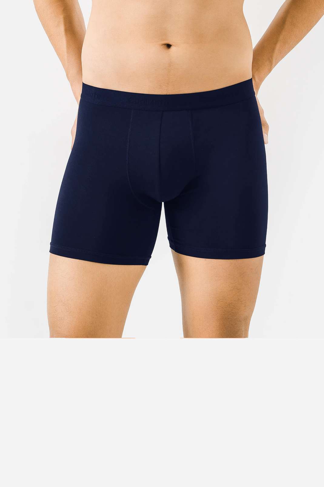 Product Image /image/February2025/combo-3-quan-lot-nam-brief-boxer-modal-v2_(1).jpg