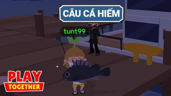 Hoạt động trong game Play Together