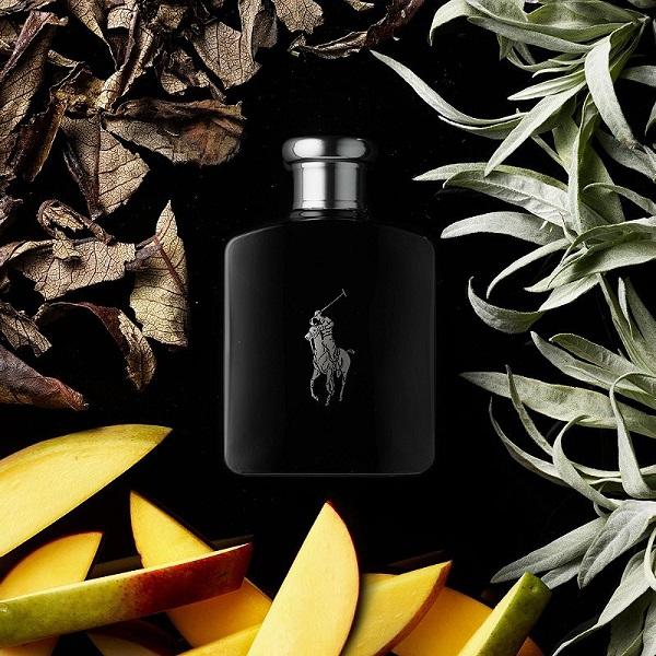 Ralph Lauren Polo Double Black từ Mỹ bản lĩnh và mạnh mẽ