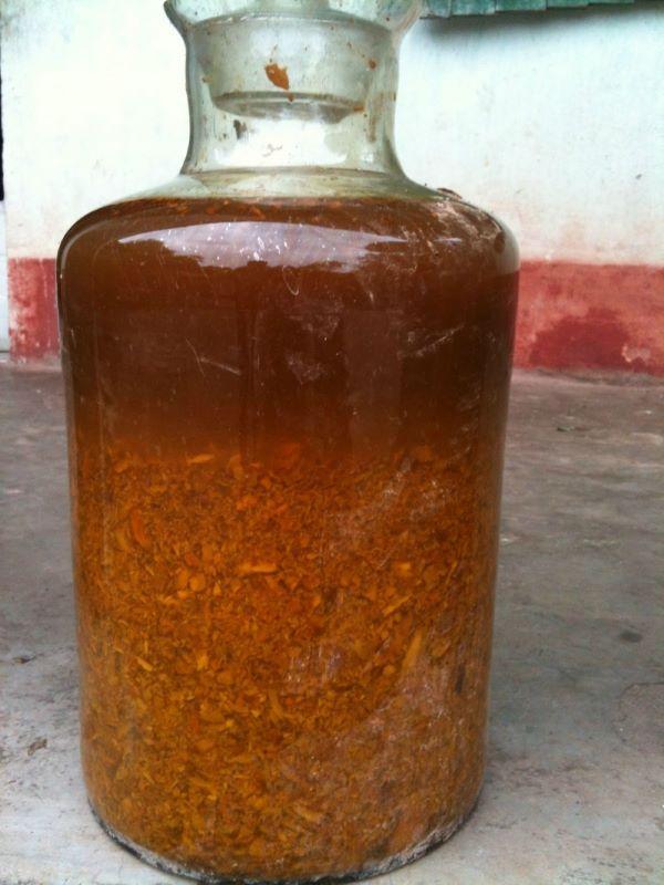các loại rượu ngâm