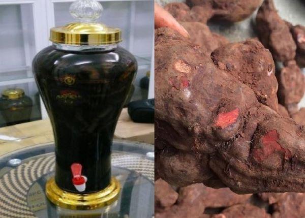 các loại rượu ngâm