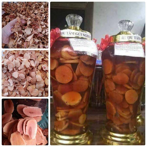 các loại rượu ngâm