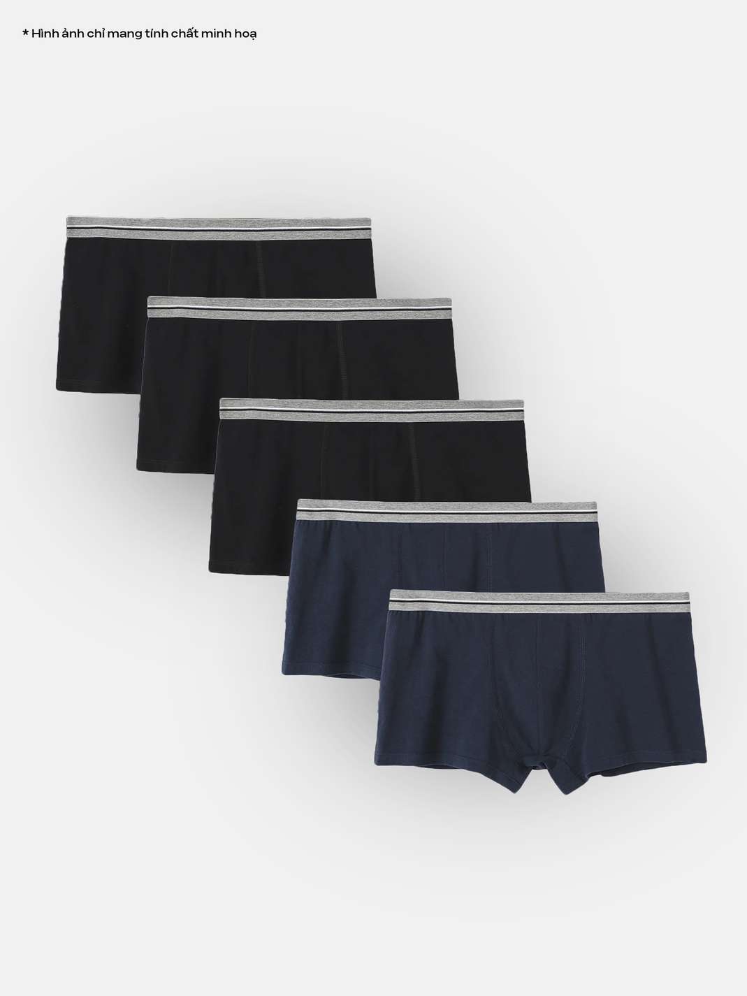 Product Image /image/January2025/pack5CM_1_43.jpg