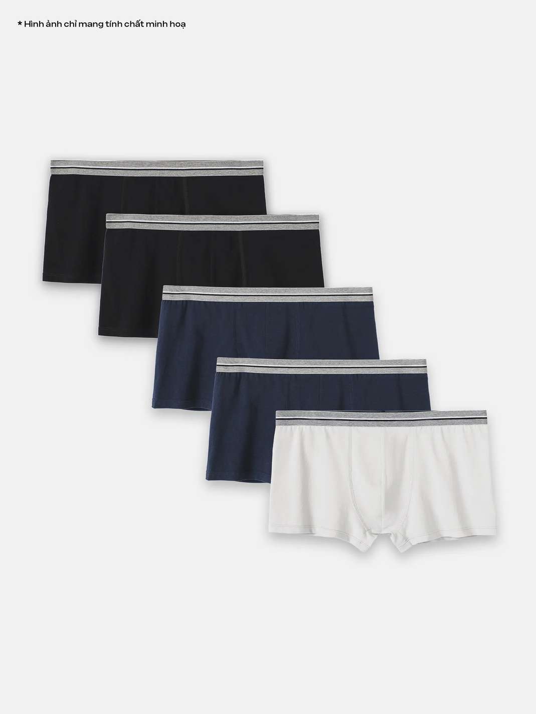Product Image /image/January2025/pack5CM_2_20.jpg