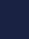 color Xanh Navy