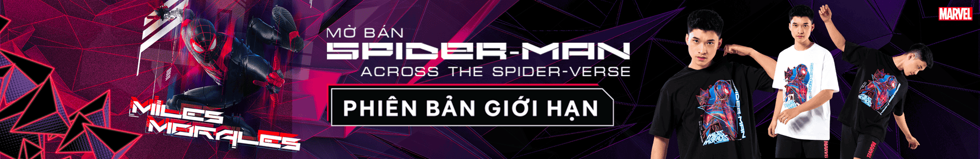 Promotional banner