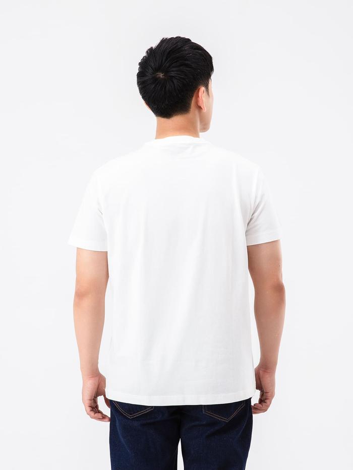 Áo thun Cotton Compact Hoa Cúc - undefined