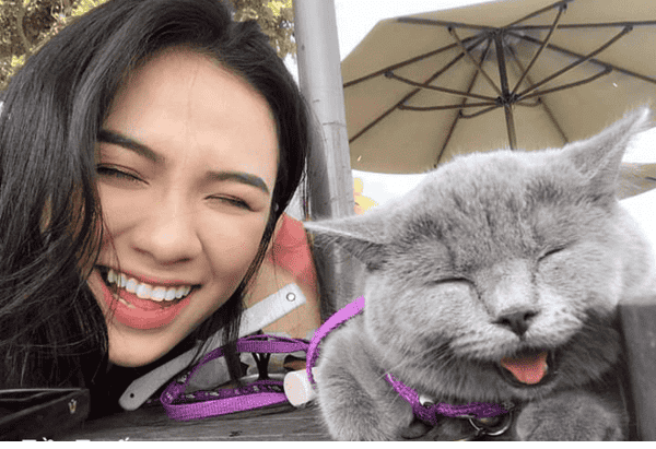 Tặng mèo cho cô gái thích mèo