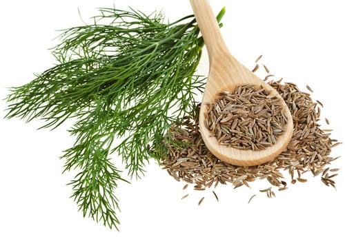 Thì là giúp giảm hôi miệng