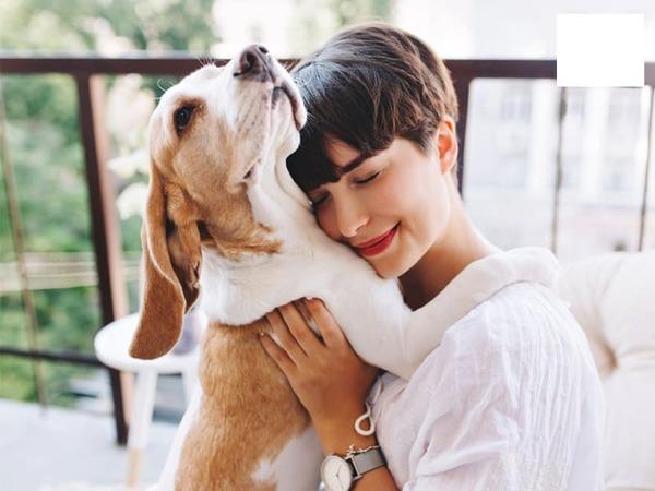 Chon địa dhỉ mua thú cưng an toàn và uy tín